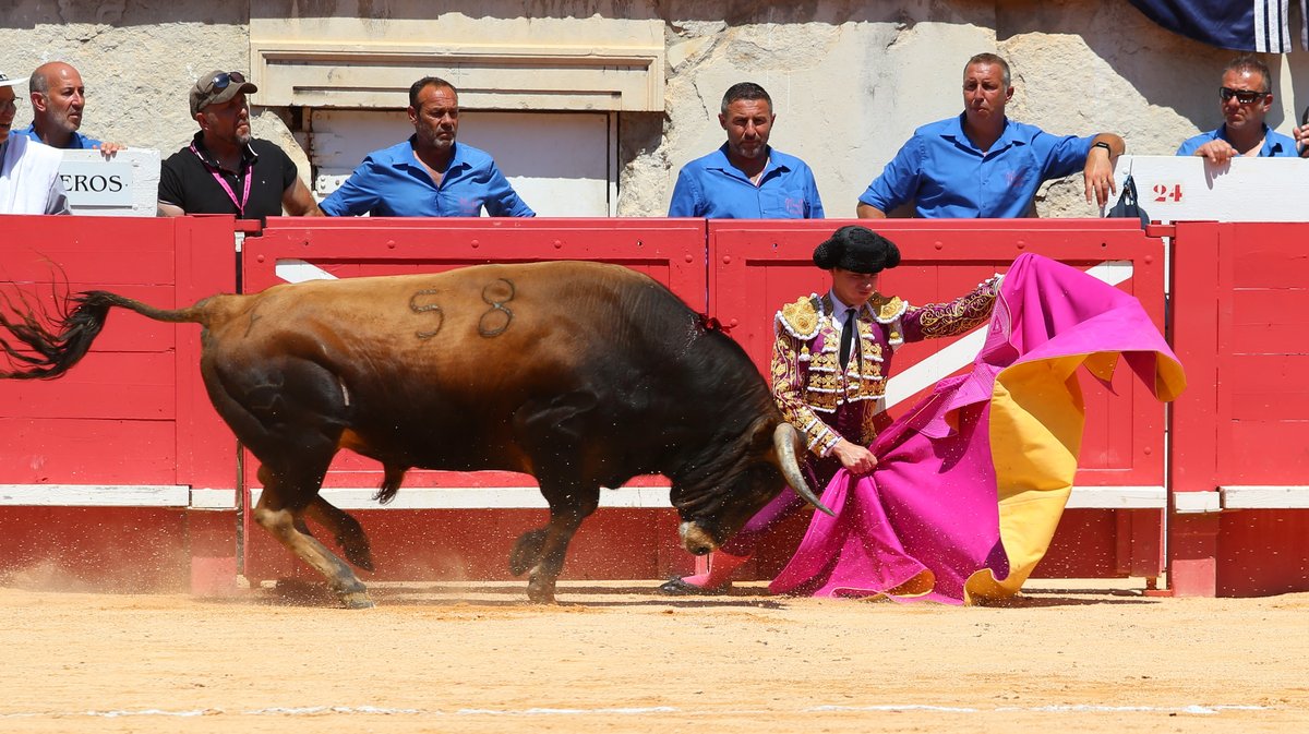 Corrida de Robert Margé pour Marc Serrano, Adriano, Tibo Garcia (confirmation d'alternative), El Rafi, Maxime Solera (confirmation d'alternative) et Solal (Photo Anthony Maurin)