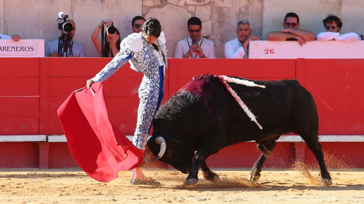 Corrida de Santiago Domecq pour Sébastien Castella, Daniel Luque et Emilio de Justo (Photo Anthony Maurin)