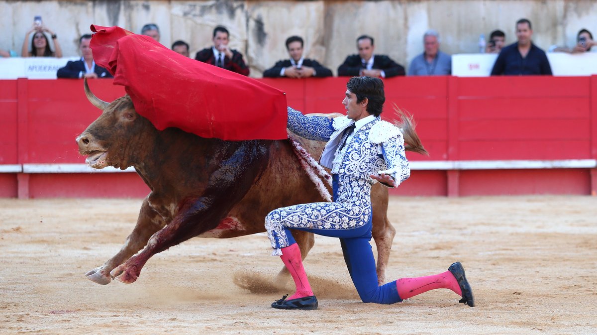 Corrida de Santiago Domecq pour Sébastien Castella, Daniel Luque et Emilio de Justo (Photo Anthony Maurin)