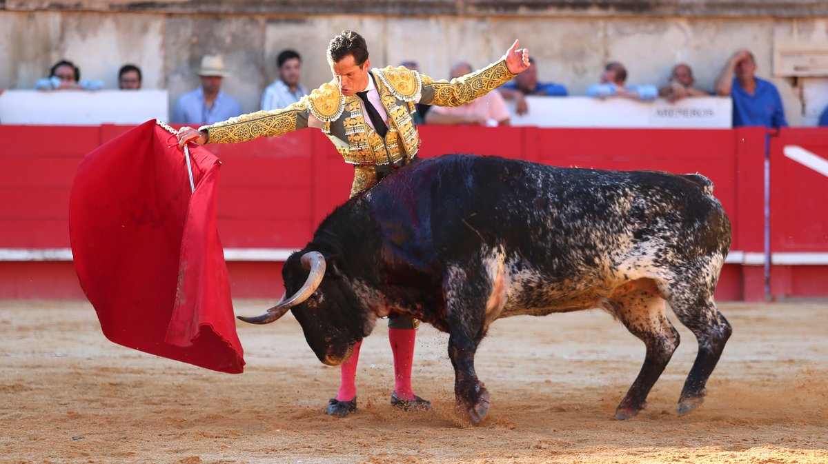 Corrida de Santiago Domecq pour Sébastien Castella, Daniel Luque et Emilio de Justo (Photo Anthony Maurin)
