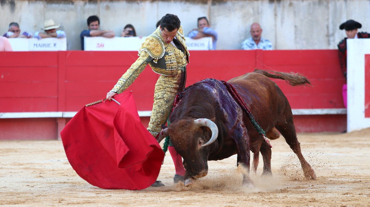 Corrida de Santiago Domecq pour Sébastien Castella, Daniel Luque et Emilio de Justo (Photo Anthony Maurin)