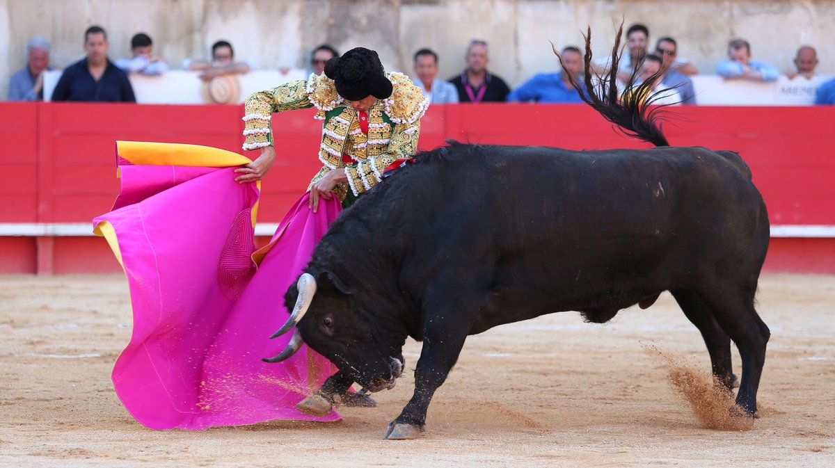 Corrida de Santiago Domecq pour Sébastien Castella, Daniel Luque et Emilio de Justo (Photo Anthony Maurin)