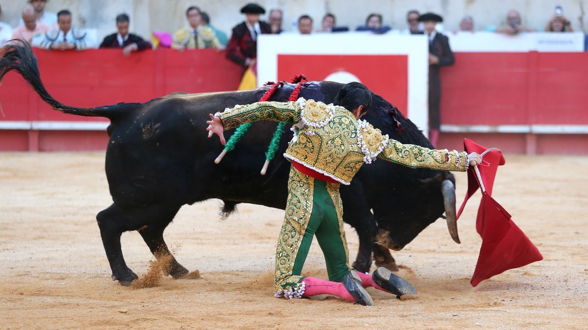 Corrida de Santiago Domecq pour Sébastien Castella, Daniel Luque et Emilio de Justo (Photo Anthony Maurin)