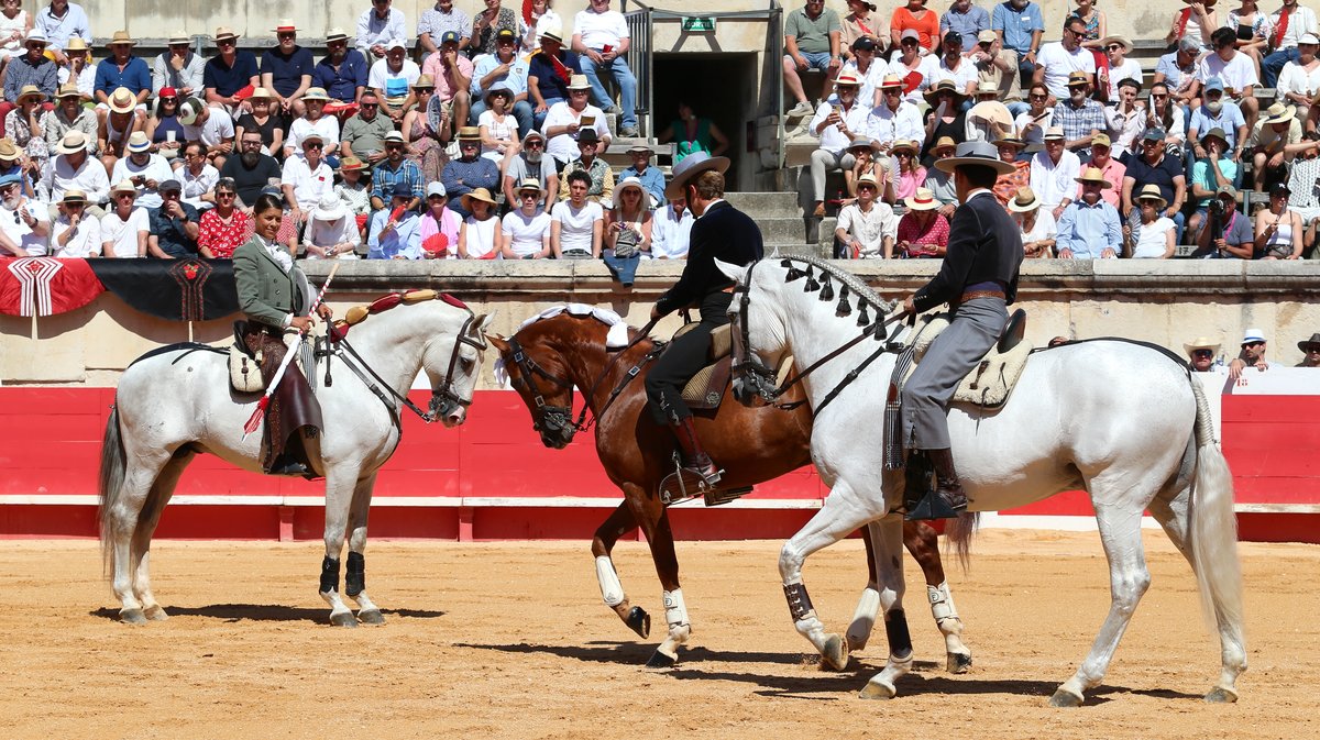 Corrida de rejon de Fermin Bohorquez pour Lea Vicens, Guillermo Hermoso de Mendoza et la confirmation d'alternative de Duarte Fernandes (Photo Anthony Maurin)