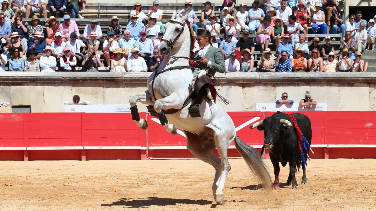 Corrida de rejon de Fermin Bohorquez pour Lea Vicens, Guillermo Hermoso de Mendoza et la confirmation d'alternative de Duarte Fernandes (Photo Anthony Maurin)