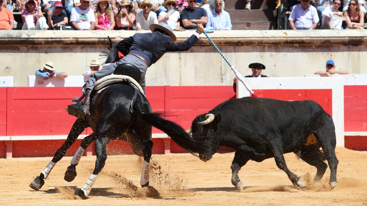 Corrida de rejon de Fermin Bohorquez pour Lea Vicens, Guillermo Hermoso de Mendoza et la confirmation d'alternative de Duarte Fernandes (Photo Anthony Maurin)
