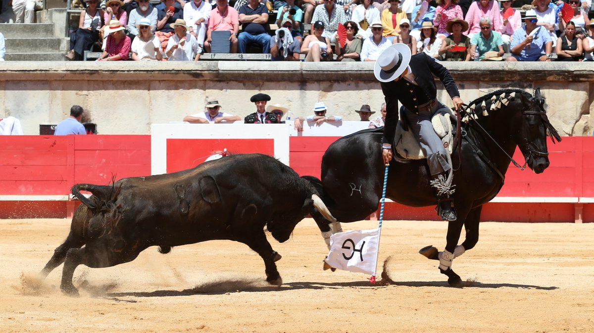 Corrida de rejon de Fermin Bohorquez pour Lea Vicens, Guillermo Hermoso de Mendoza et la confirmation d'alternative de Duarte Fernandes (Photo Anthony Maurin)