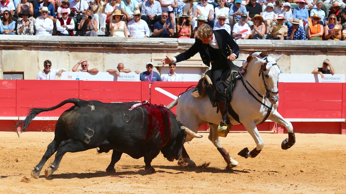 Corrida de rejon de Fermin Bohorquez pour Lea Vicens, Guillermo Hermoso de Mendoza et la confirmation d'alternative de Duarte Fernandes (Photo Anthony Maurin)