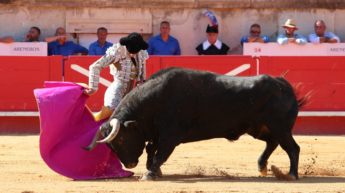 Mano a mano de Pedraza de Yeltes pour Borja Jimenez et Clemente (Photo Anthony Maurin)