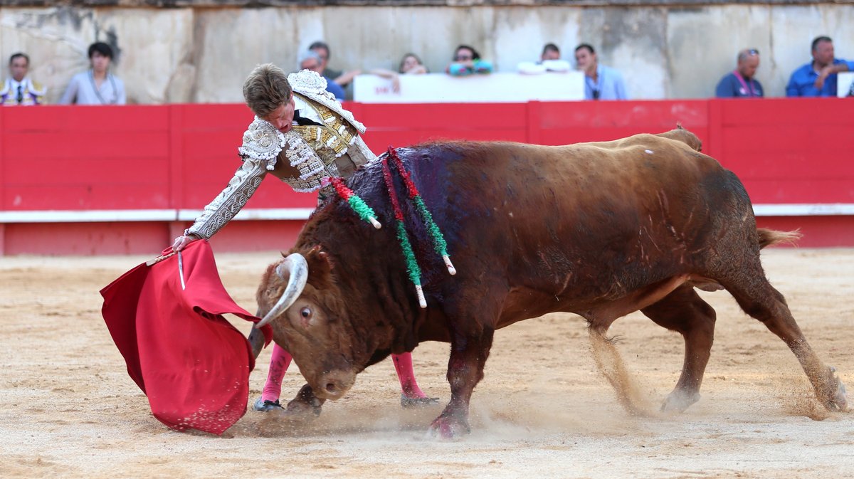 Mano a mano de Pedraza de Yeltes pour Borja Jimenez et Clemente (Photo Anthony Maurin)