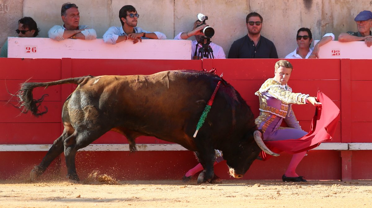 Mano a mano de Pedraza de Yeltes pour Borja Jimenez et Clemente (Photo Anthony Maurin)