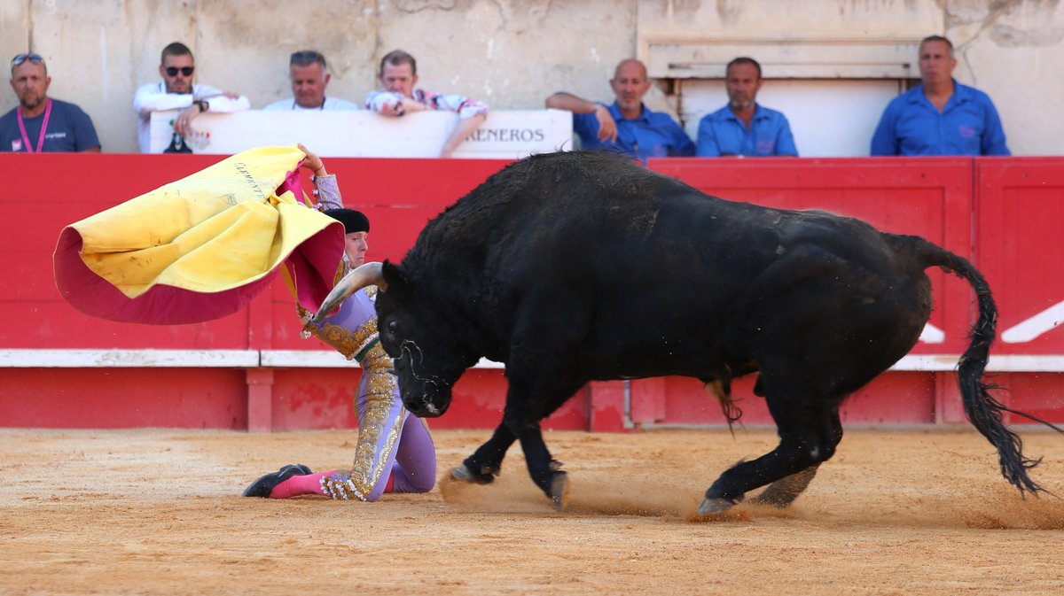 Mano a mano de Pedraza de Yeltes pour Borja Jimenez et Clemente (Photo Anthony Maurin)