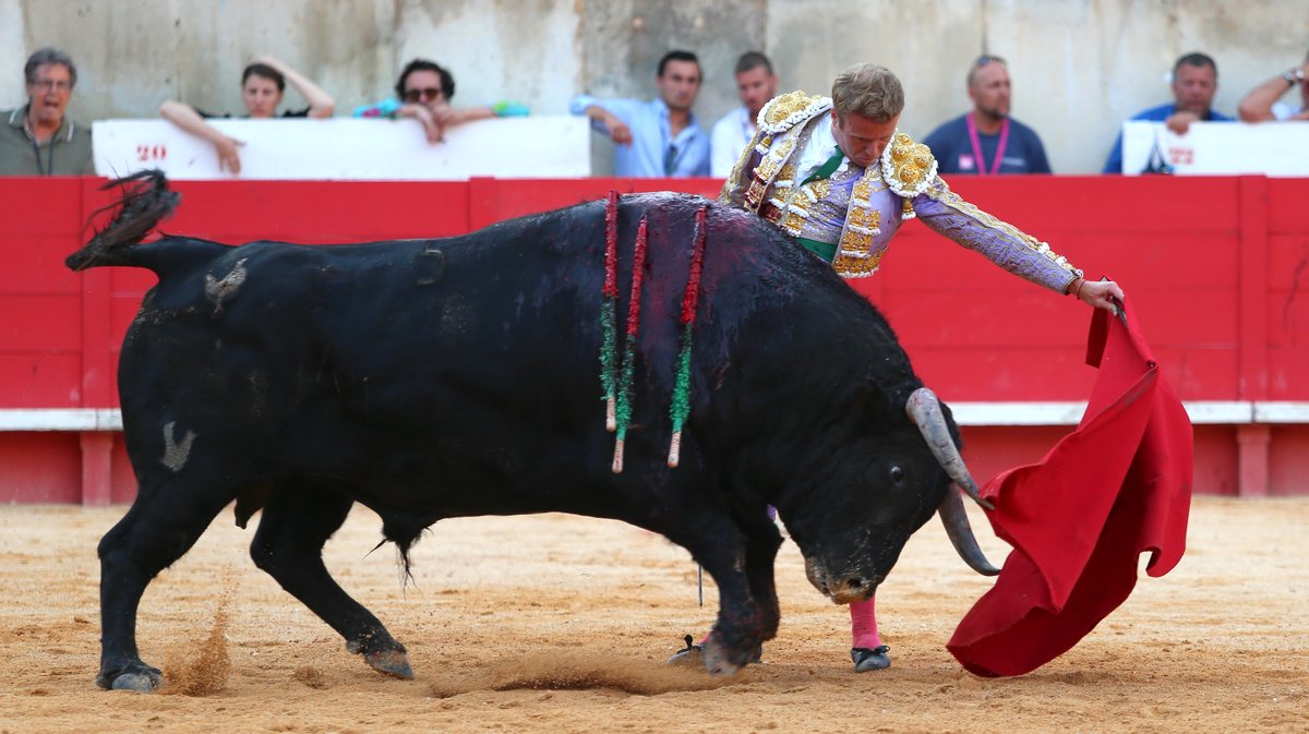 Mano a mano de Pedraza de Yeltes pour Borja Jimenez et Clemente (Photo Anthony Maurin)