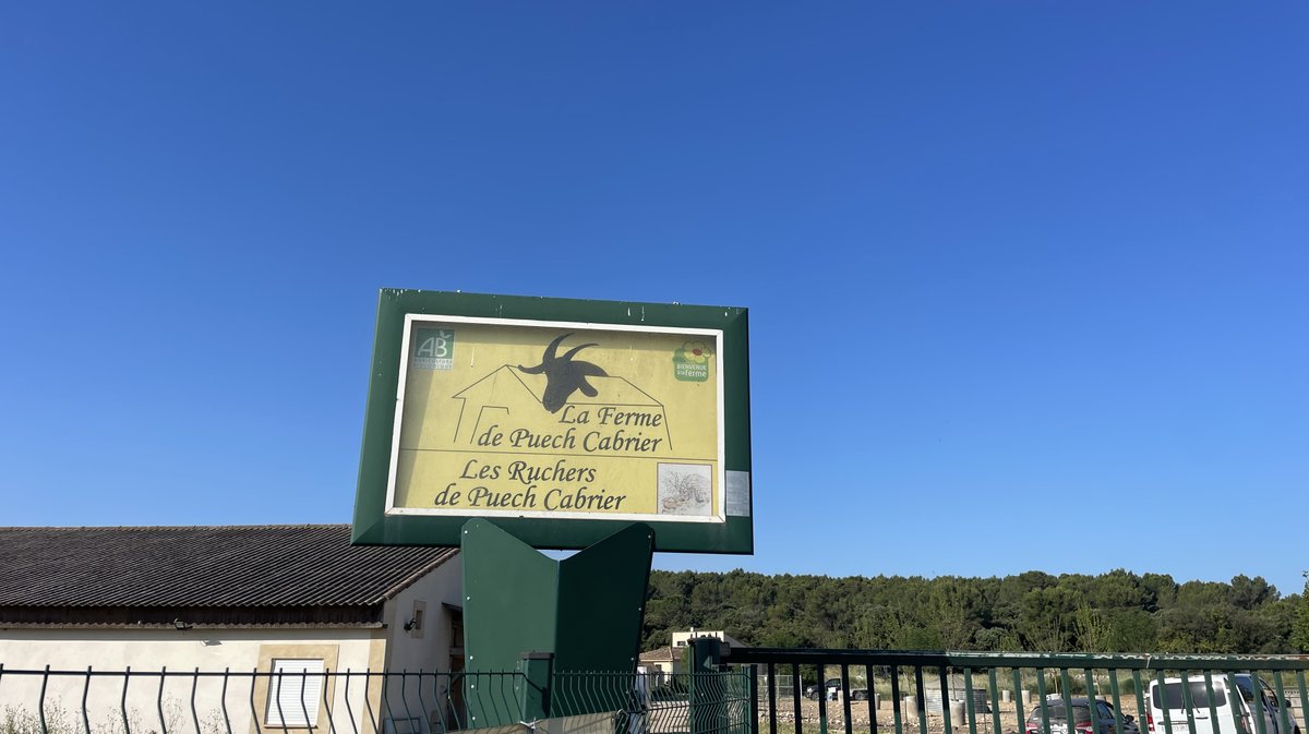 Ferme Puech Cabrier Bio Uchaud Katy Guyot (Photo Anthony Maurin)