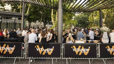 Vitanim Business