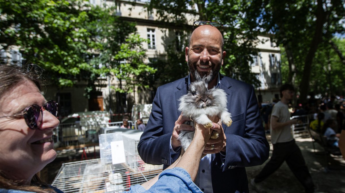JMS Vincent Bouget Lapin