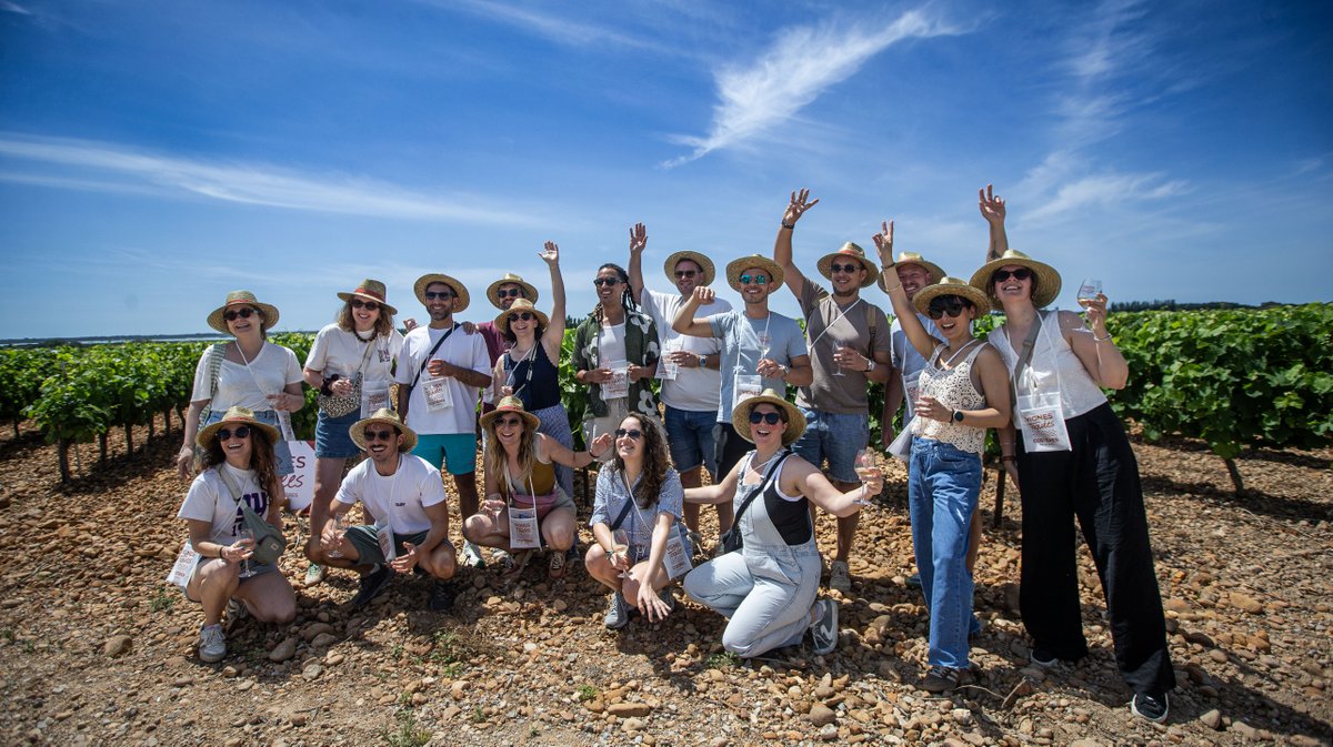 vignes toquees 2026 gallician