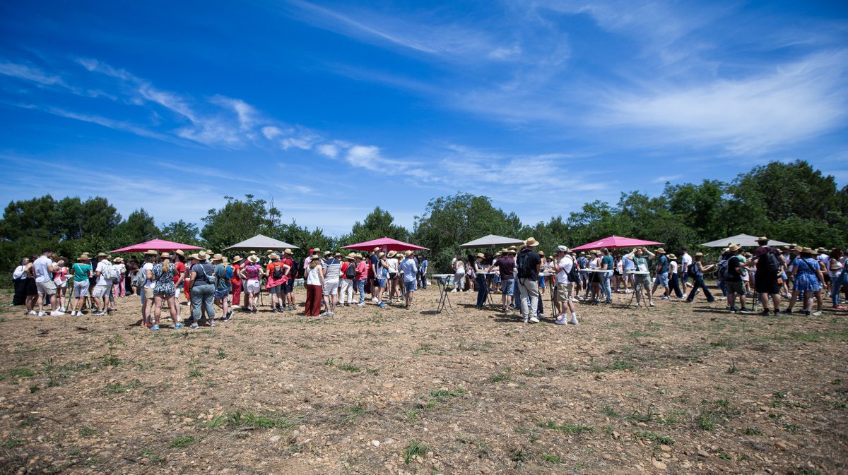 vignes toquees 2026 gallician