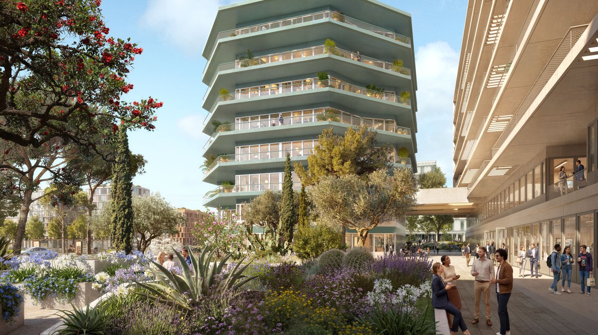 nouveau projet tissot cambaceres montpellier