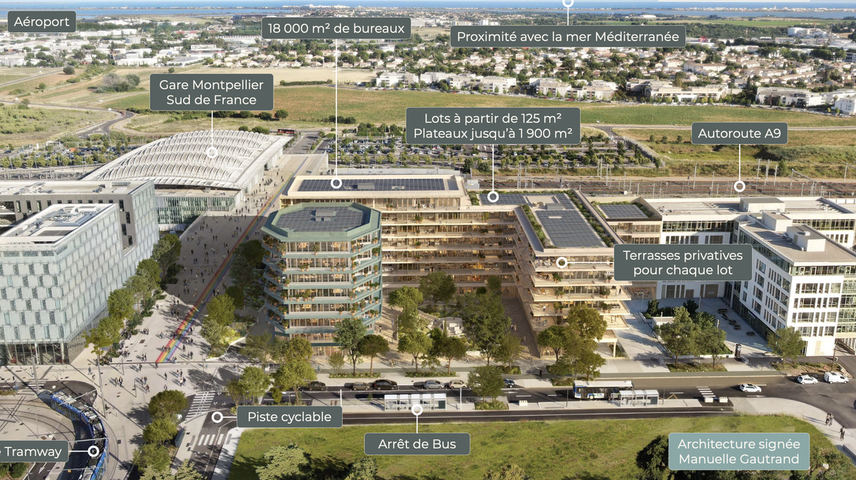 nouveau projet tissot cambaceres montpellier
