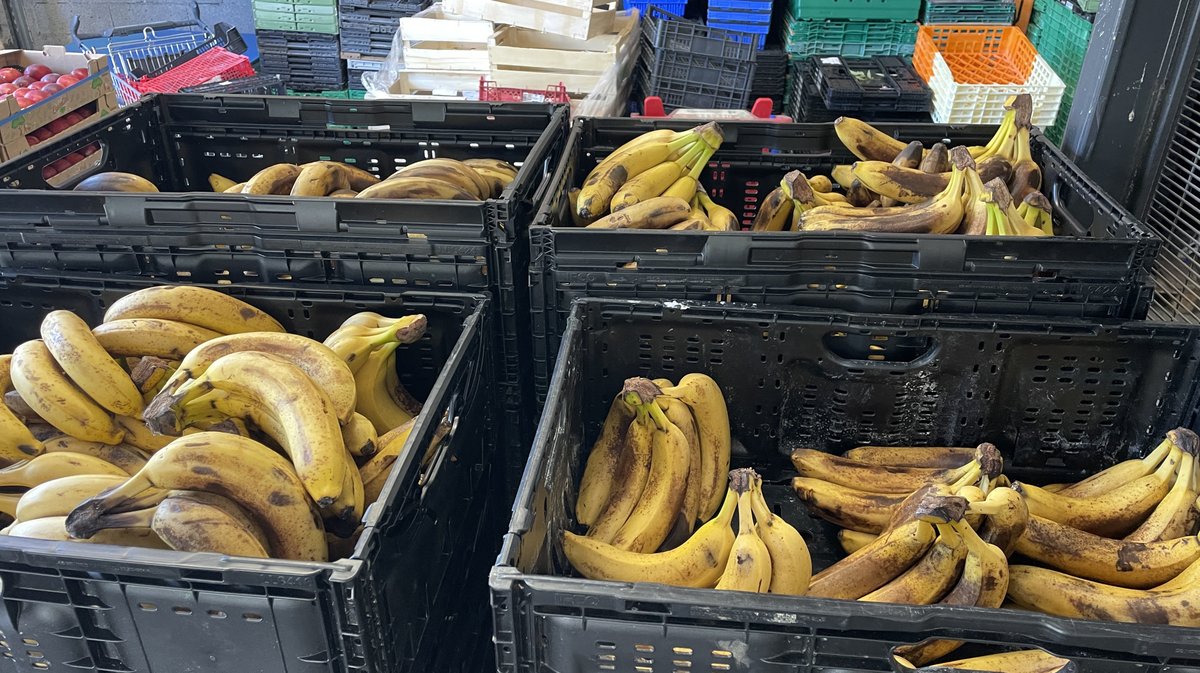 Distribution Banque alimentaire du Gard 2026 (Photo Anthony Maurin)