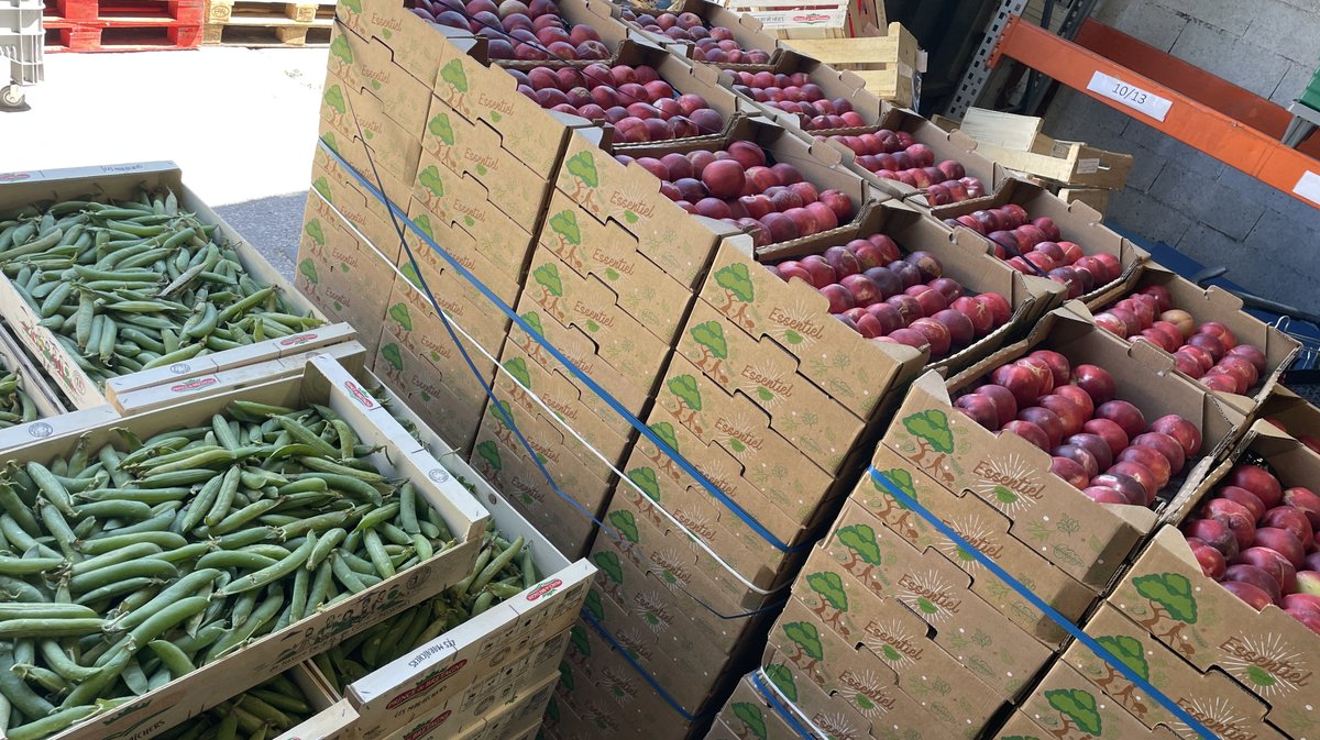 Distribution Banque alimentaire du Gard 2026 (Photo Anthony Maurin)