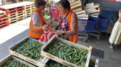 Distribution Banque alimentaire du Gard 2026 (Photo Anthony Maurin)