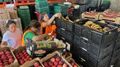 Distribution Banque alimentaire du Gard 2026 (Photo Anthony Maurin)