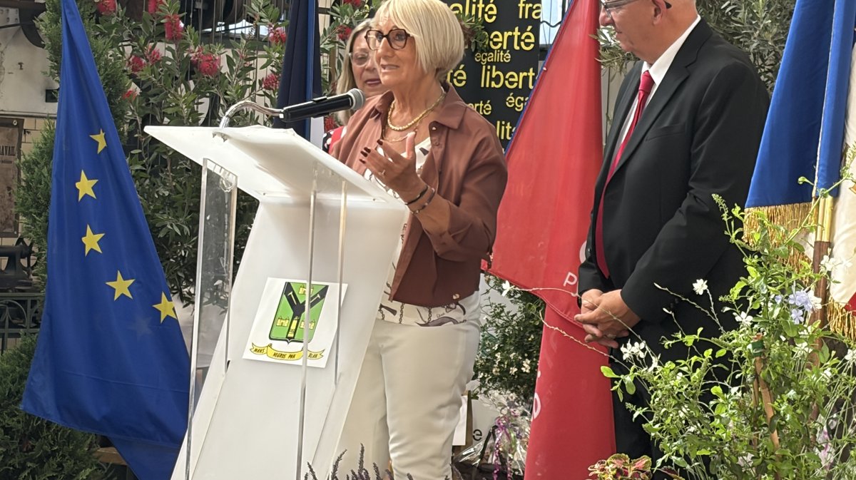 Françoise Laurent Perrigot