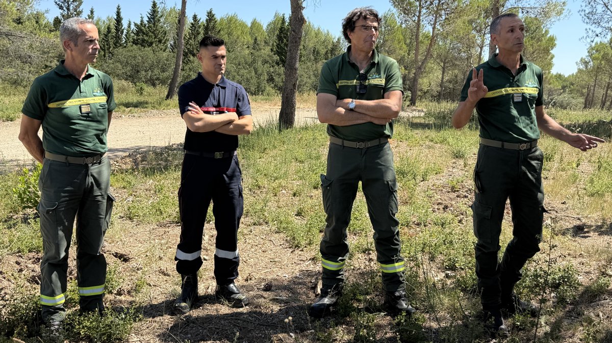 feu de forêt
