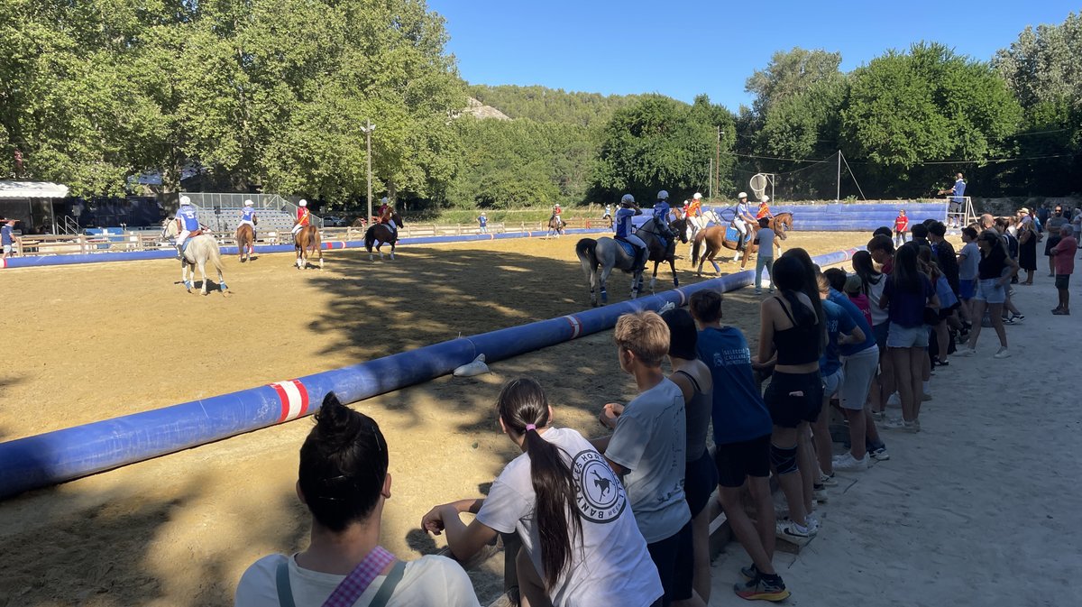 Rencontres équestres 2026 à Beaucaire (Photo Anthony Maurin)