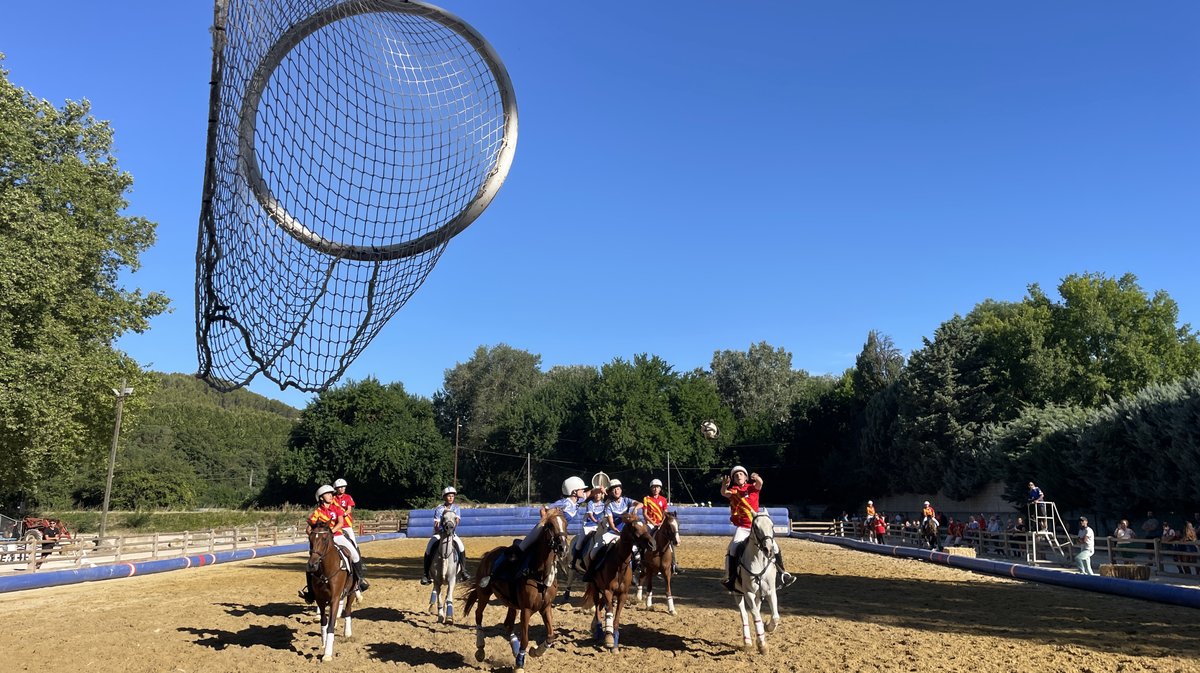 Rencontres équestres 2026 à Beaucaire (Photo Anthony Maurin)