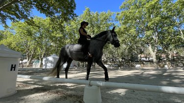 Rencontres équestres 2026 à Beaucaire (Photo Anthony Maurin)