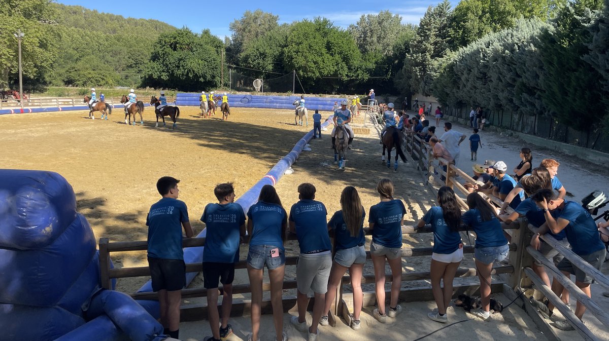 Rencontres équestres 2026 à Beaucaire (Photo Anthony Maurin)