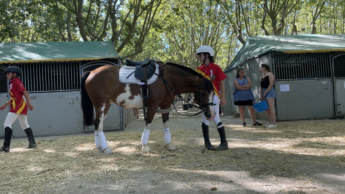 Rencontres équestres 2026 à Beaucaire (Photo Anthony Maurin)