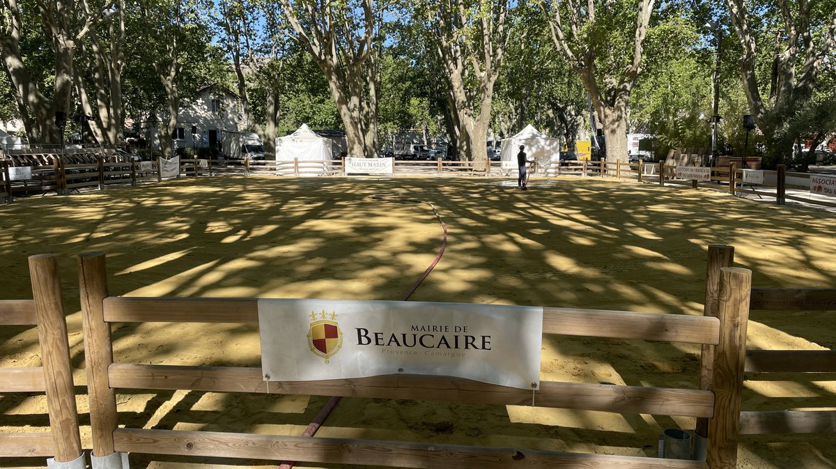 Rencontres équestres 2026 à Beaucaire (Photo Anthony Maurin)