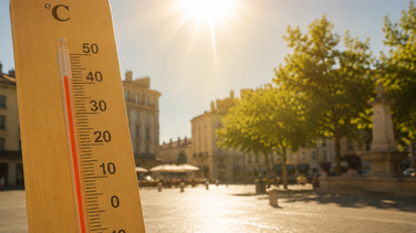 canicule