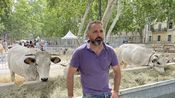 Mathieu Saignol éleveur à Mauressargues