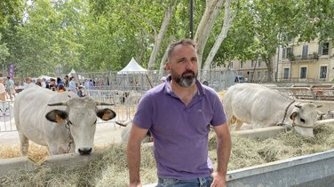 Mathieu Saignol éleveur à Mauressargues