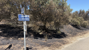 incendie bezouce feu dégâts