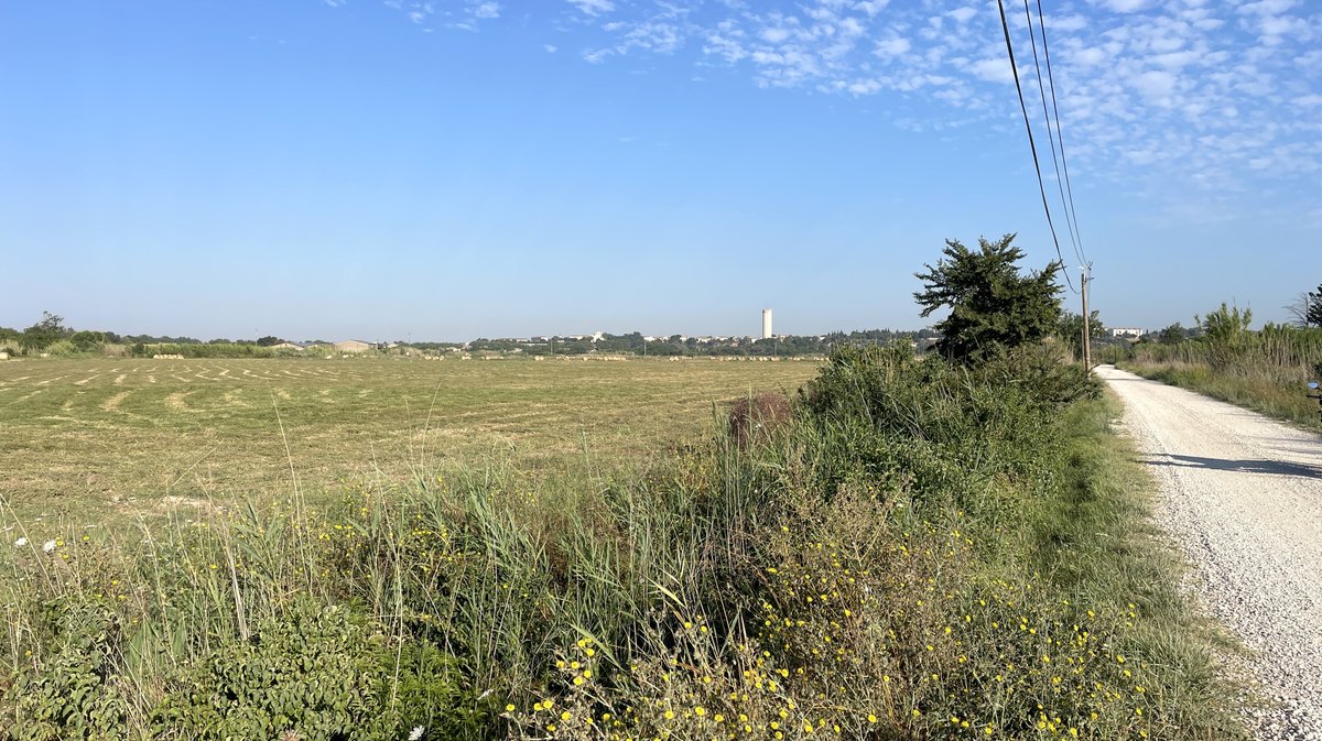 À Saint-Gilles, le chemin de Saint-Jacques-de-Compostelle en 2026 (Photo Anthony Maurin)