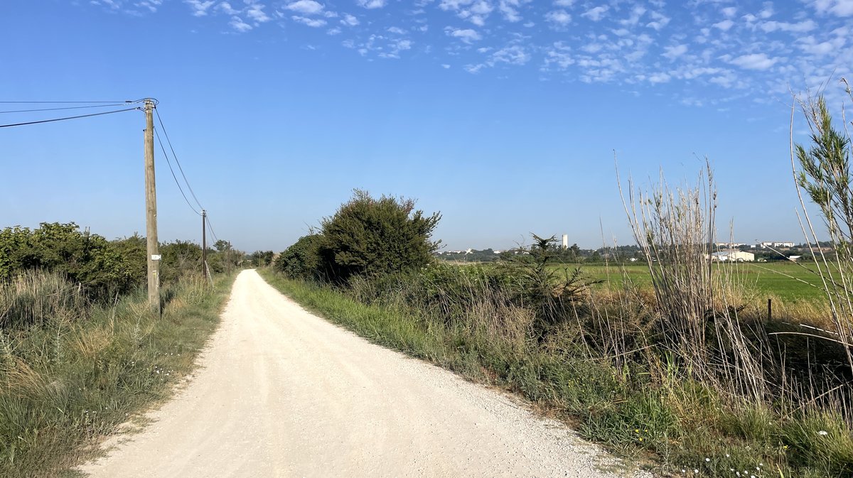À Saint-Gilles, le chemin de Saint-Jacques-de-Compostelle en 2026 (Photo Anthony Maurin)