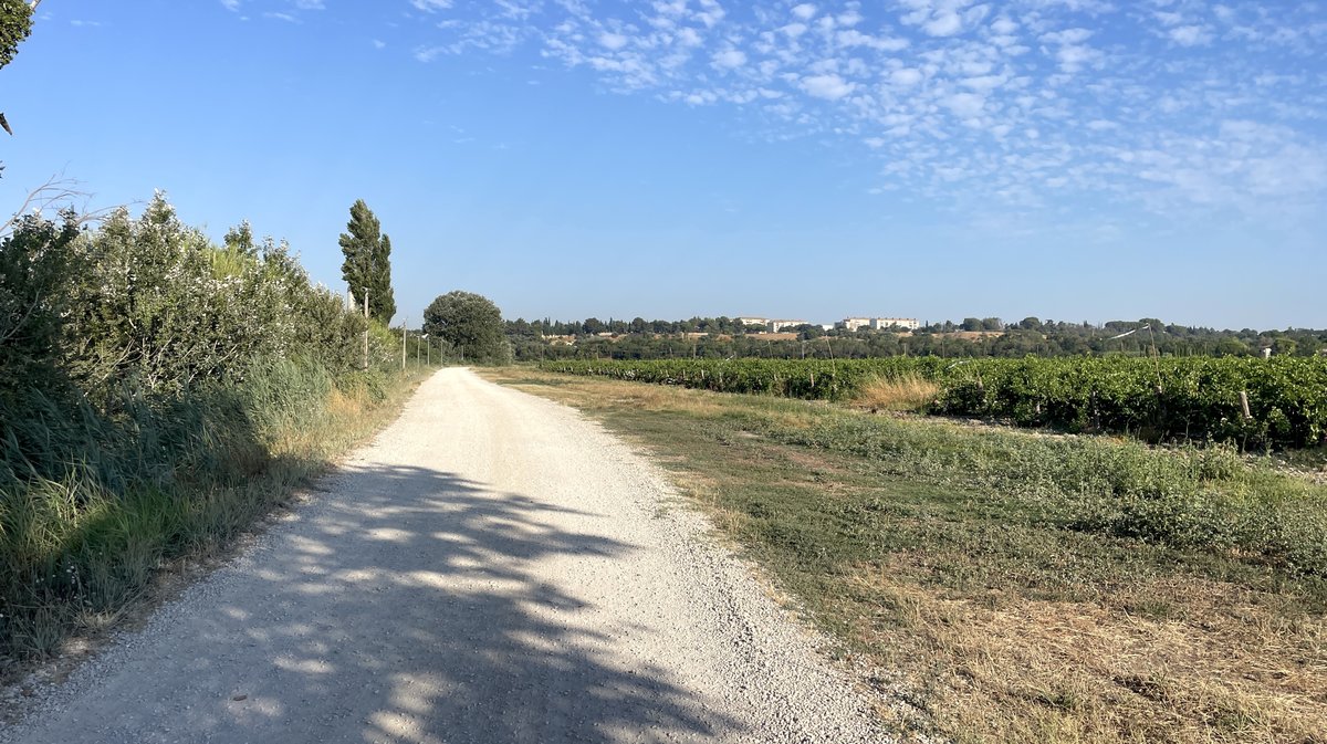 À Saint-Gilles, le chemin de Saint-Jacques-de-Compostelle en 2026 (Photo Anthony Maurin)