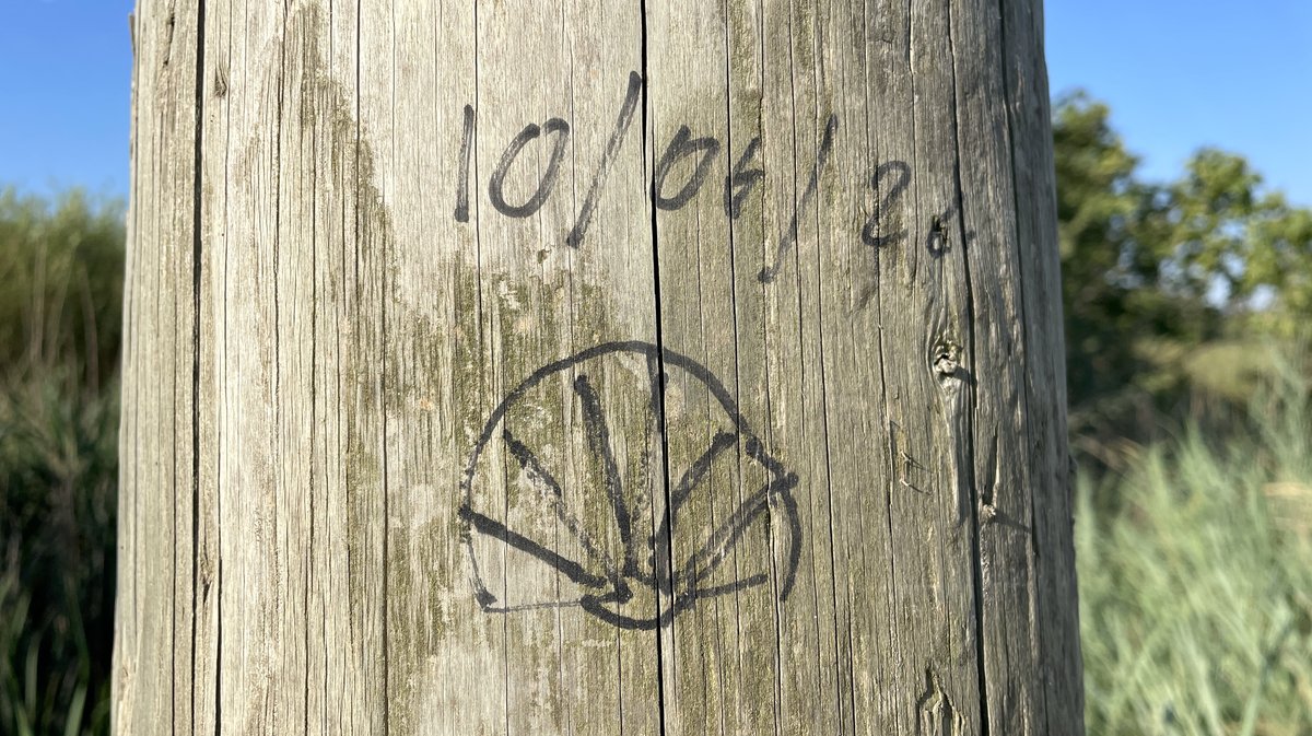 À Saint-Gilles, le chemin de Saint-Jacques-de-Compostelle en 2026 (Photo Anthony Maurin)
