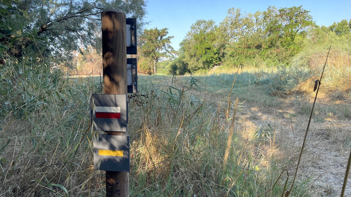 À Saint-Gilles, le chemin de Saint-Jacques-de-Compostelle en 2026 (Photo Anthony Maurin)