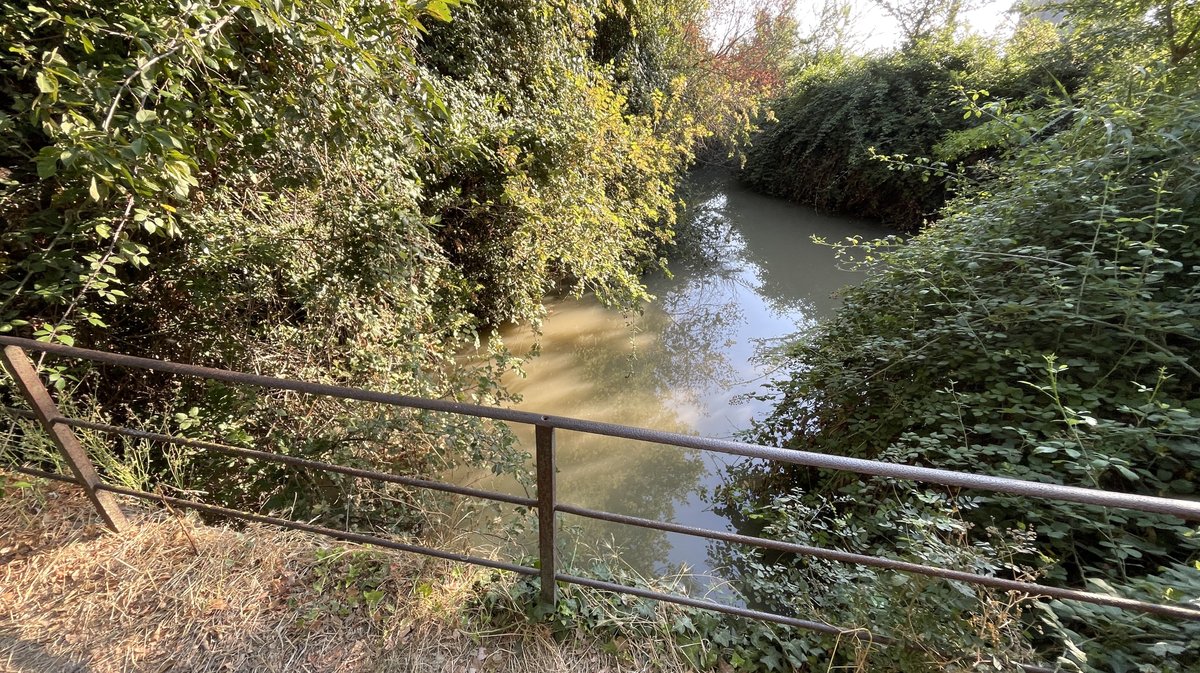 À Saint-Gilles, le chemin de Saint-Jacques-de-Compostelle en 2026 (Photo Anthony Maurin)