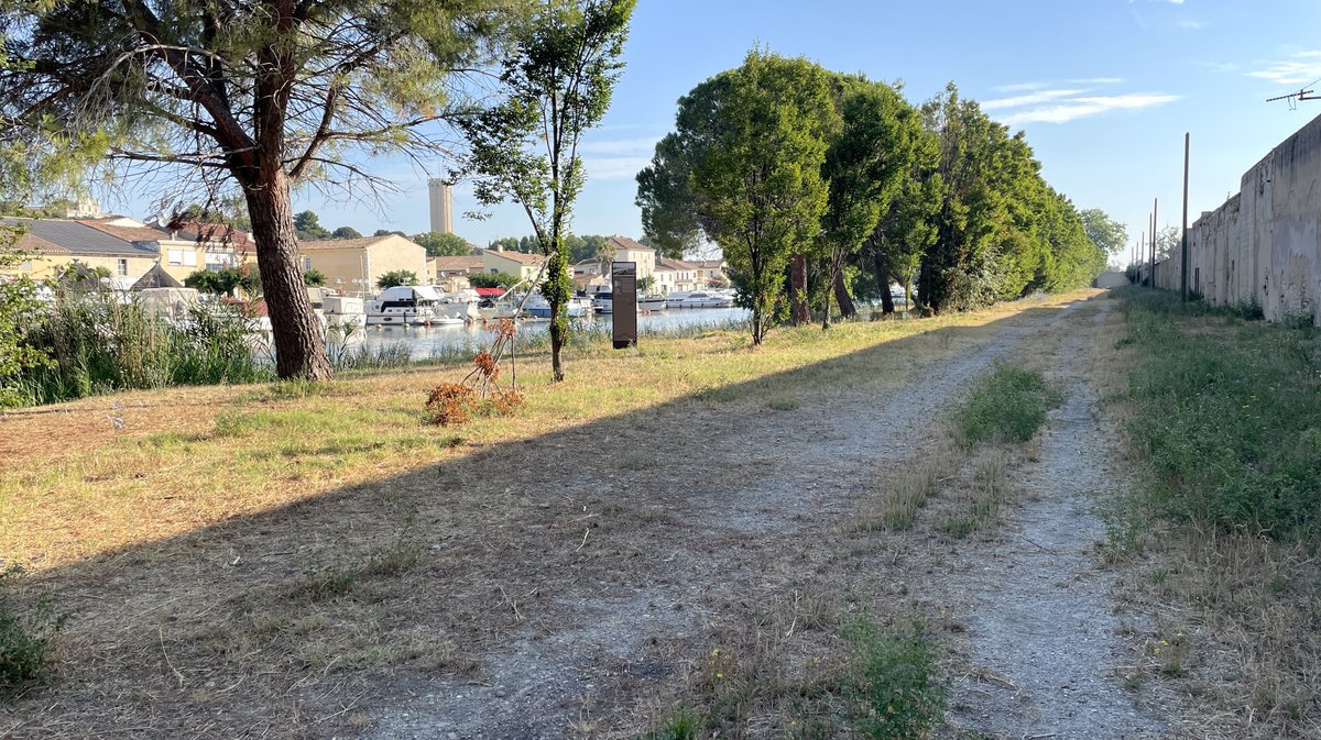 À Saint-Gilles, le chemin de Saint-Jacques-de-Compostelle en 2026 (Photo Anthony Maurin)