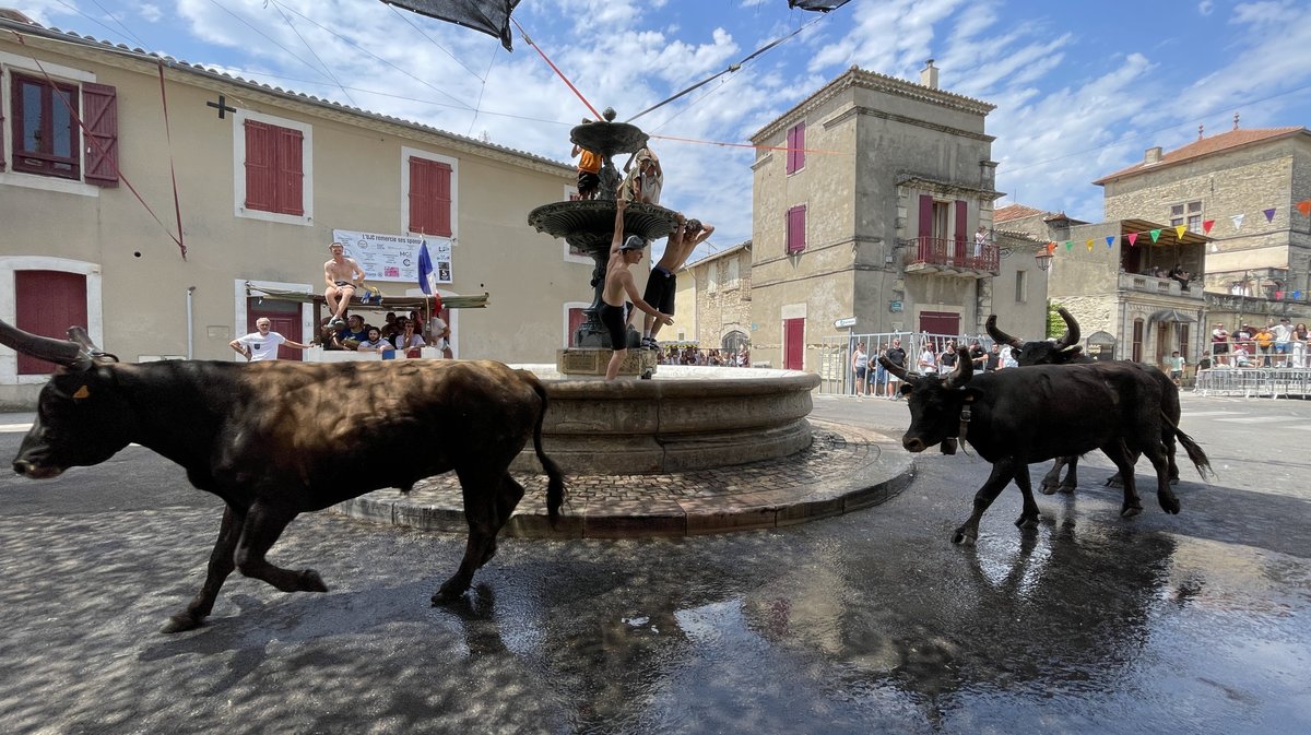 Fête votive Caveirac 2026 (Photo Anthony Maurin)