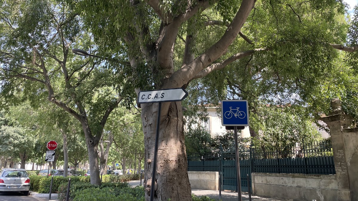 CCAS Nîmes été 2026 (Photo Anthony Maurin)