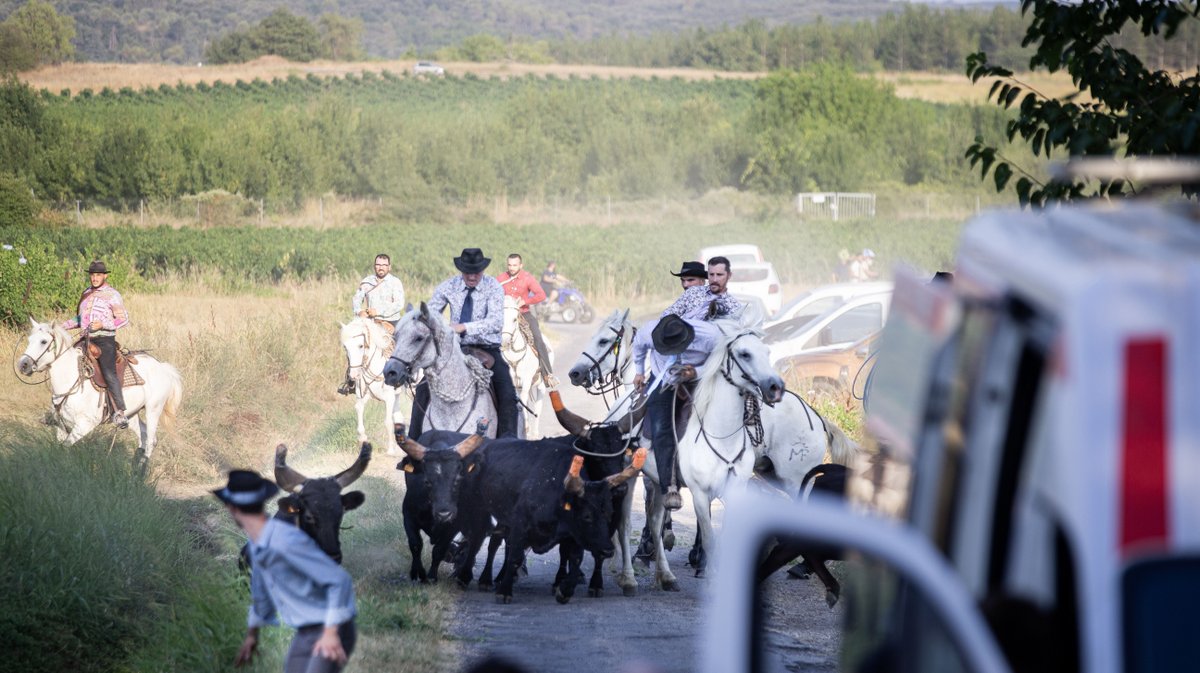 concours abrivado saint bauzely